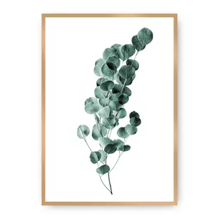 Dekoria Dekoria Plakat Eucalyptus Emerald Green 21 x 30 cm Ramka Złota 218A-000-02 - Plakaty - miniaturka - grafika 1