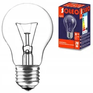 Halogeny - Helios Helios Żarówka niskonapięciowa 24V 75W E27/27Al A55CL 1CT/100 1000h NIS-0024 - miniaturka - grafika 1