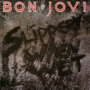 Bon Jovi Slippery When Wet Winyl