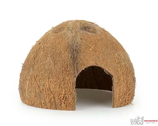 Skorupa kokosa Happet 1/2 nieszczotkowana 6 szt. - Dekoracje do terrarium - miniaturka - grafika 1