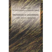 Religia i religioznawstwo - Miłosierdzie w codzienności - miniaturka - grafika 1