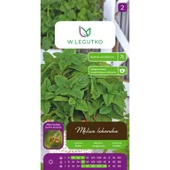 Nasiona i cebule - Melisa lekarska Melissa officinalis nasiona ziół W.Legutko - miniaturka - grafika 1