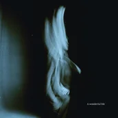 Muzyka alternatywna - A Wonderful Life - miniaturka - grafika 1