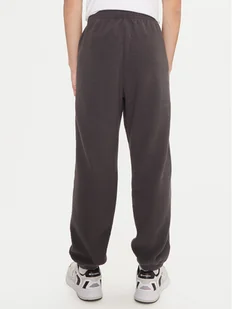 Champion Spodnie dresowe 220419 Szary Regular Fit - Spodnie sportowe męskie - miniaturka - grafika 1