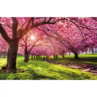 Kalendarze - Terminarz ścienny MICHALCZYK I PROKOP 2023 /T-107S-4/ - miniaturka - grafika 1