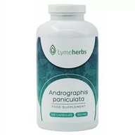 Suplementy naturalne - Lymeherbs Andrographis paniculata 500 mg, 500 kapsułek CH39 - miniaturka - grafika 1