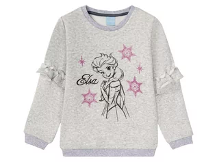 Bluzy dla dziewczynek - Bluza dziewczęca z nadrukiem, z bohaterami bajek, 1 sztuka (98/104, Jasnoszary) 4055334340946 - grafika 1