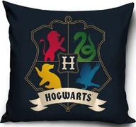 Poduszki dekoracyjne - HARRY POTTER poduszka jasiek 40x40cm - miniaturka - grafika 1