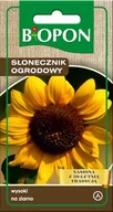 Nasiona i cebule - BIOPON Słonecznik ogrodowy wysoki - nasiona 402300 - miniaturka - grafika 1