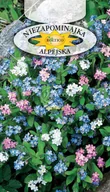 Nasiona i cebule - NIEZAPOMINAJKA ALPEJSKA MIESZANKA 0,5g - miniaturka - grafika 1