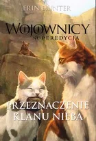 Przeznaczenie Klanu Nieba Superedycja - Fantasy - miniaturka - grafika 1