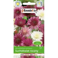 Nasiona i cebule - Nasiona Suchołuska Mix 1 Gram Plantico - miniaturka - grafika 1