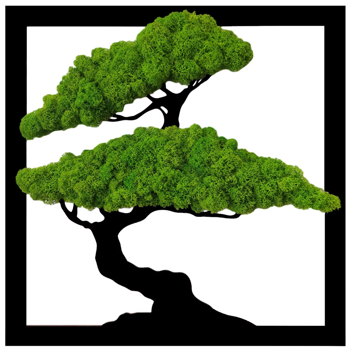 Obraz Drzewo Bonsai Mech Chrobotek Kwadrat 40Cm