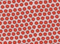 Opakowania i torebki na prezenty - PartyDeco Papier do pakowania - Gwiazda Betlejemska, 70x200cm PAP20 [16621475] - miniaturka - grafika 1
