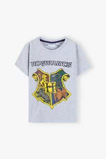 Koszulki dla chłopców - Bawełniana koszulka z krótkim rękawem, Harry Potter - grafika 1