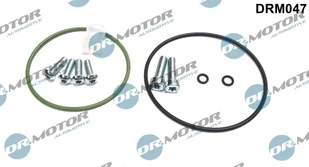 Zestaw naprawczy, pompa podciśnieniowa (układ hamulcowy) Dr.motor Automotive DRM047 - Pompy hamulcowe - miniaturka - grafika 1
