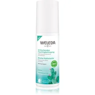 Toniki i hydrolaty do twarzy - Weleda Prickly Pear Hydration wody i spreje do twarzy 100 ml dla kobiet - miniaturka - grafika 1