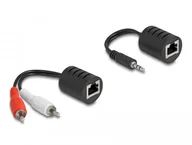 Inne akcesoria audio-wideo - DELOCK Stereo Audio Extender RJ45 Buchse zu 3,5mm Klinkenstecker und RJ45 Buchse zu 2 x Cinch Stecker Cat.5 bis 50m Set 2 Stuck - miniaturka - grafika 1