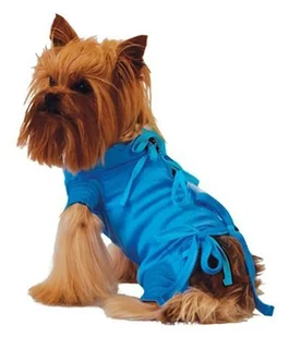 Grande Finale Grande Finale Koszulka pooperacyjna rozmiar 4 / 44cm niebieska - Przysmaki dla psów Grande Finale Grande Finale Koszulka pooperacyjna rozmiar 4 / 44cm niebieska - Przysmaki dla psów - miniaturka - grafika 3