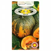 Nasiona i cebule - DYNIA BEZŁUPINOWA OLGA NASIONA - miniaturka - grafika 1