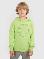 Bluzy dla chłopców - 4F Bluza dresowa nierozpinana z kapturem chłopięca - zielona 122 (6-7 lat) - miniaturka - grafika 1