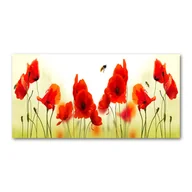 Obrazy i zdjęcia na płótnie - Foto obraz zdjęcie szkło hartowane Maki - miniaturka - grafika 1