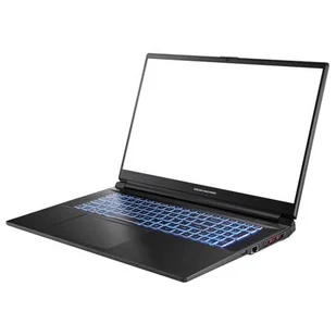 Dream Machines RG4060-17PL25 17.3" 144Hz i7-13700H 16GB RAM 500GB SSD GeForce RTX4060 - Laptopy - miniaturka - grafika 1