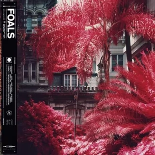 Foals Everything Not Saved Will Be Lost Part 1 - Rock - miniaturka - grafika 1