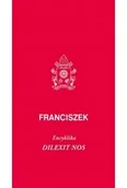 Religia i religioznawstwo - Dilexit nos. Encyklika o miłości ludzkiej... - miniaturka - grafika 1