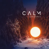 Winyle - Calm Christmas - miniaturka - grafika 1