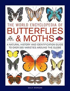 Sally Morgan Butterflies & Moths The World Encyclopedia of - Pozostałe książki - miniaturka - grafika 2