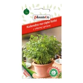 Nasiona i cebule - Kolendra na cięte listki - miniaturka - grafika 1