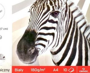 Canson Blok do malowania A4 120g. - biały - Szkolne artykuły papiernicze - miniaturka - grafika 1