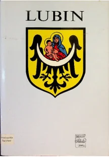Lublin Zarys rozwoju miasta na przestrzeni wieków - Książki o kulturze i sztuce - miniaturka - grafika 1