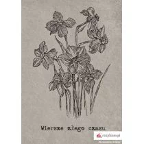 Rozpisani.pl Wiersze złego czasu - Jarosław Renk - Poezja - miniaturka - grafika 1
