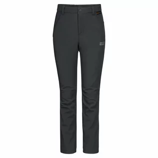 Spodnie i spodenki dla dziewczynek - Spodnie softshell dziecięce FOURWINDS PANTS K phantom - grafika 1