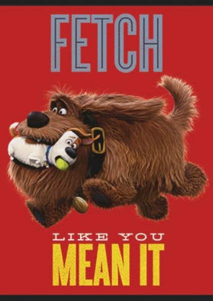 Zeszyt A5 32k kratka lam. Pets p15 MAJEWSKI (5903235271229)