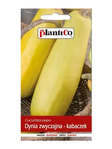 Dynia Zwyczajna Kabaczek Złoty Cepelin 2g PlantiCo - Nasiona i cebule - miniaturka - grafika 1
