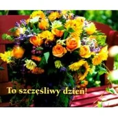 Aforyzmy i sentencje - Edycja Świętego Pawła praca zbiorowa Perełka 134. To szczęśliwy dzień! - miniaturka - grafika 1