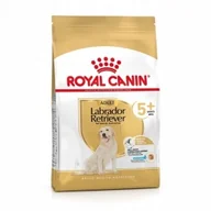 Sucha karma dla psów - Royal Canin Adult 5+ Labrador Retriever 3kg - miniaturka - grafika 1