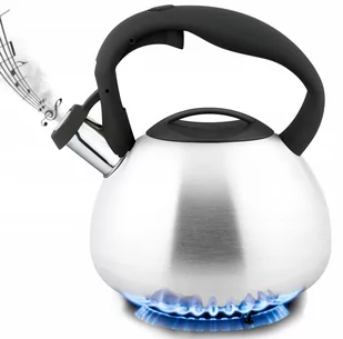 CZAJNIK stalowy nierdzewny 3L z gwizdkiem srebrny - Czajniki na gaz CZAJNIK stalowy nierdzewny 3L z gwizdkiem srebrny - Czajniki na gaz - miniaturka - grafika 1