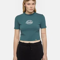 Koszulki i topy damskie - t-shirt donna dickies globe tee dk0a863i 0ln1 green - miniaturka - grafika 1