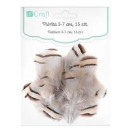 Decoupage - Piórka dekoracyjne bażanta 5-7 cm 15 szt. - miniaturka - grafika 1