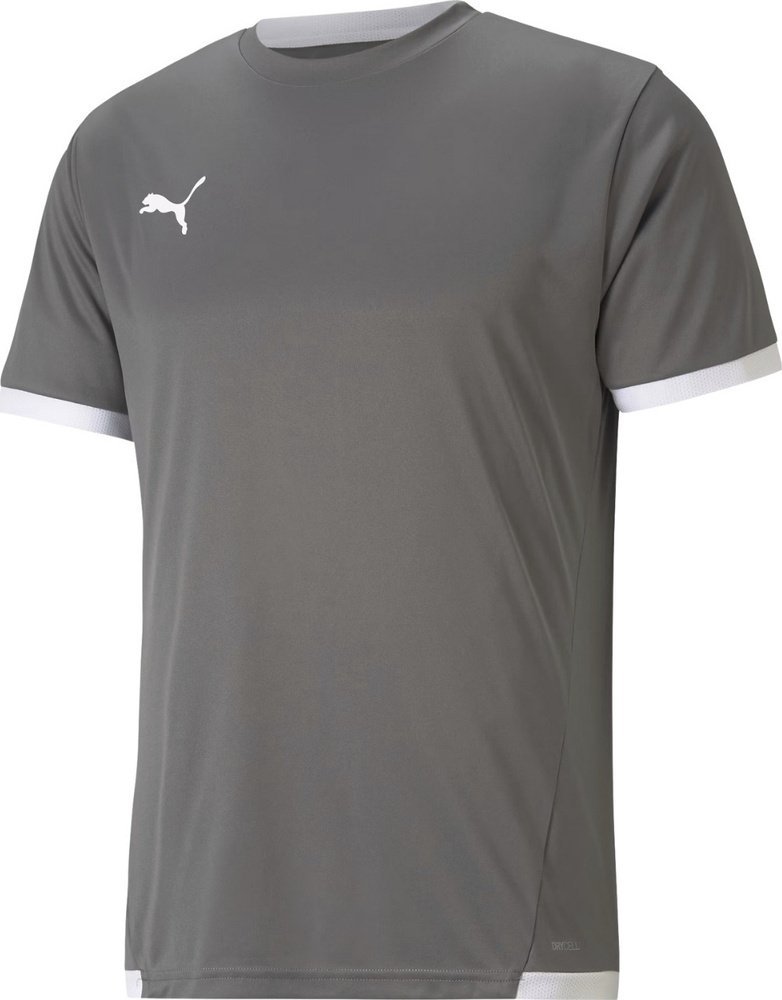 Puma Koszulka męska Puma teamLIGA Jersey szara 704917 13 M