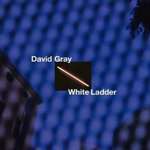 David Gray White Ladder 20th Anniversary Edition. CD David Gray - Rock - miniaturka - grafika 1