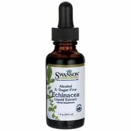 Suplementy diety - Echinacea liquid extract 29,6ml - miniaturka - grafika 1
