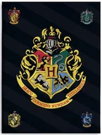 Koce i narzuty dla dzieci - KOC polarowy kocyk POLAR HARRY POTTER 100x140 cm - miniaturka - grafika 1