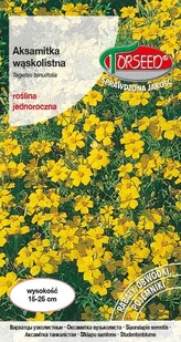 Nasiona Aksamitka wąskolistna żółta 1g - Torseed - Nasiona i cebule - miniaturka - grafika 1
