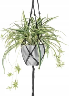 Sztuczna roślina w wiszącej doniczce Zielistka - Sztuczne kwiaty - miniaturka - grafika 1