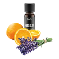 Akcesoria i części AGD - Olejek eteryczny Stadler Form Rebloom - miniaturka - grafika 1